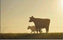 #12_Ephratagram 2015.jpg